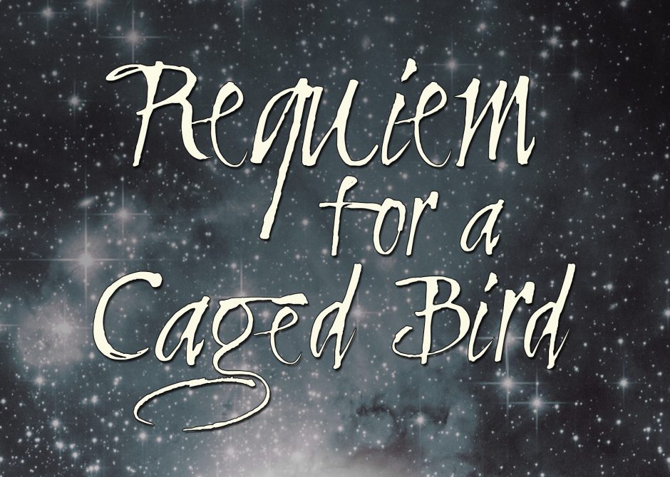 “Requiem for a Caged Bird” Part III by Dory Fiamingo