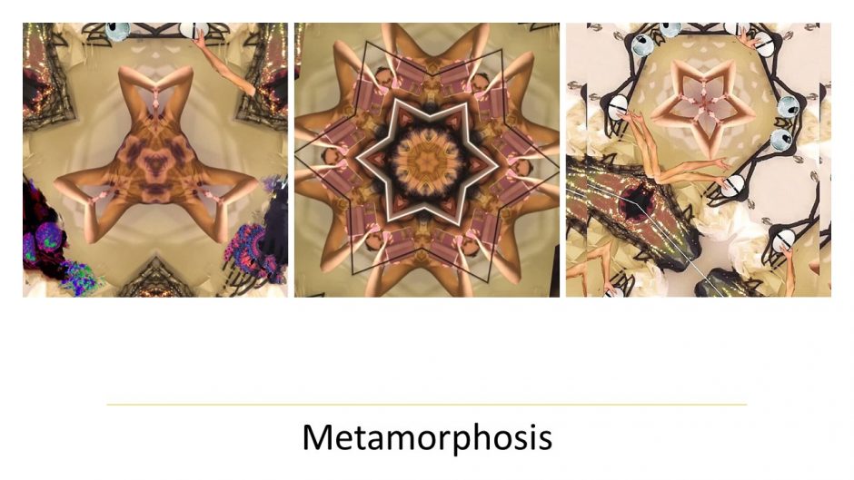Metamorphosis: Qinrui Chen’s Surrealistic BioArt