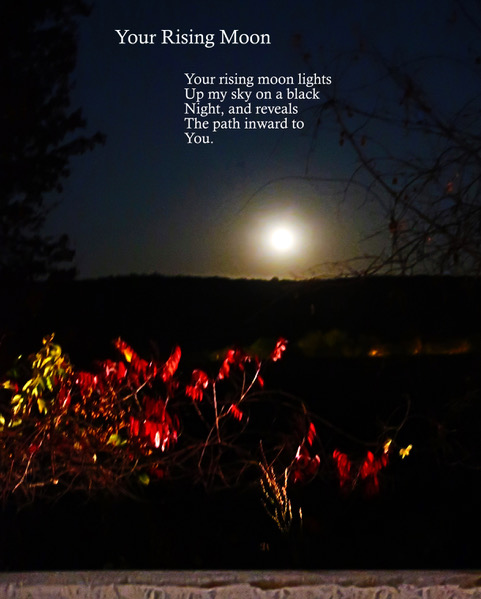 Your Rising Moon